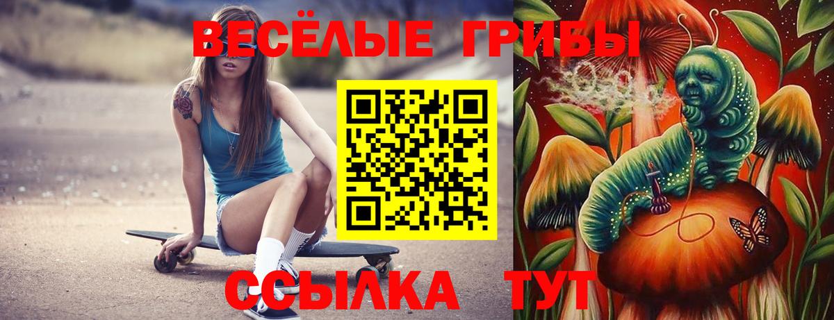 Псилоцибиновые грибы мицелий  Псилоцибиновые грибы ЛСД  Вход с VPN  Кушва 